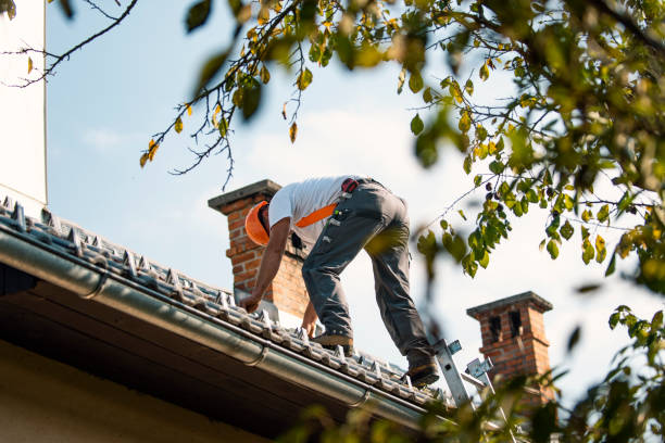 Quick and Trustworthy Emergency Roof Repair Services in Chama, NM