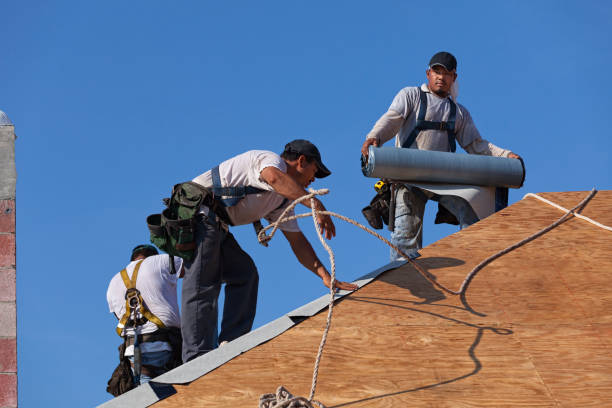 Best New Roof Installation  in Chama, NM