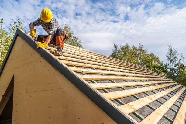 Best Metal Roofing Contractor  in Chama, NM